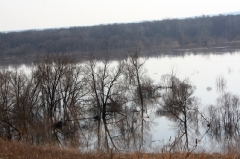 Большая вода в Потьме_17