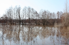Большая вода в Потьме_1
