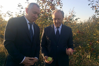 20181018-radaev-sady.jpg