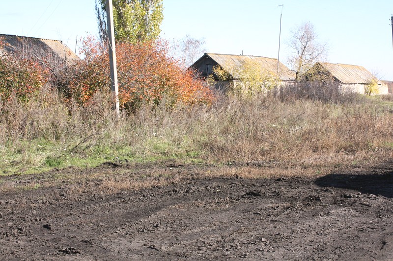 2019.10.18-berezovyi-185.jpg