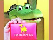 20200227 kroko