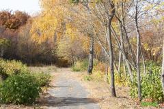 20201017 park 04