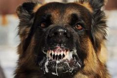 http://www.kis-rt.ru/images/smart_thumbs/93745e22a60ba5dd5a248c887a1d648d_thumb_medium240_0.jpg